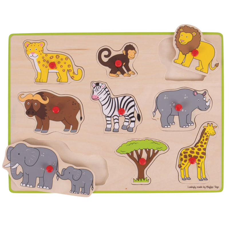 Lift Out Puzzle (Safari), Learning SPACE