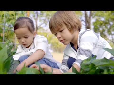 Little Garden, Learning SPACE