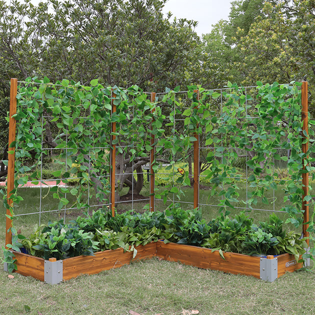 Little Garden, Discovery Zone Learning SPACE