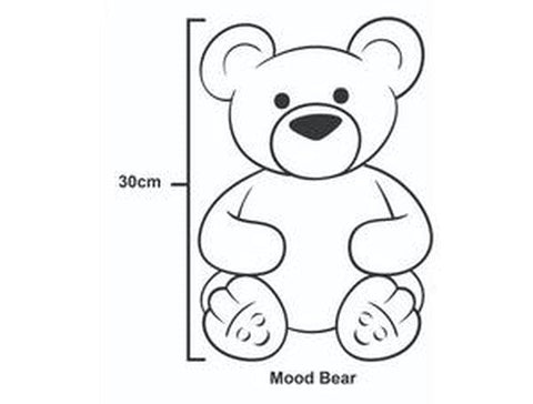 Love Bear - Mood Bear-Stuffed Toys-Additional Need,Calming and Relaxation,Comfort Toys,Eco Friendly,Emotions & Self Esteem,Games & Toys,Helps With,Mood Bear,PSHE,Social Emotional Learning-Learning SPACE