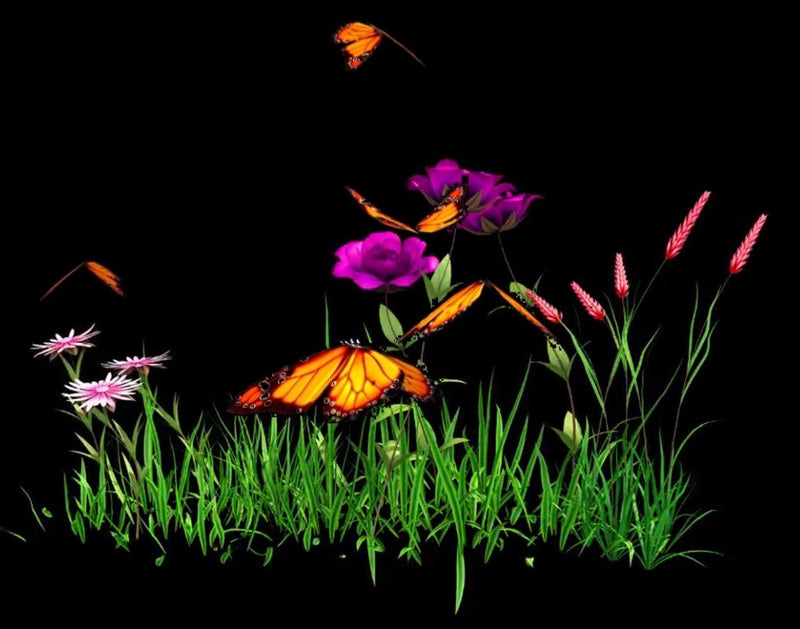 Lumina 3D Hologram Wall Feature - 42cm, Learning SPACE