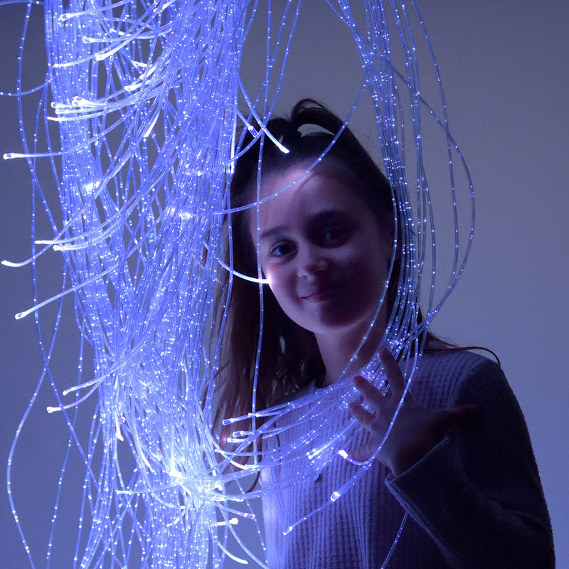 Lumina Fibre Optic Tails 2m (With Lightsource), Learning SPACE