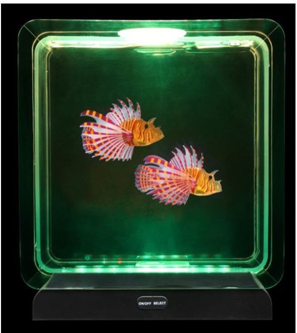 Lumina Square Light-Up Fish Tank - 2 Tropical Fish, Learning SPACE