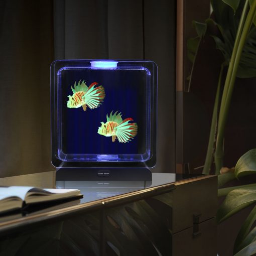 Lumina Square Light-Up Fish Tank - 2 Tropical Fish, Learning SPACE