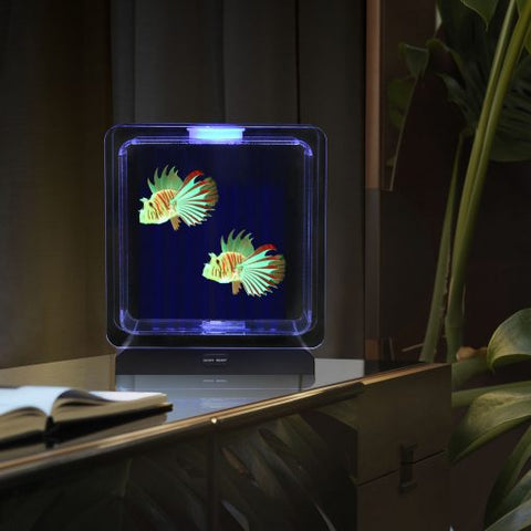 Lumina Square Light-Up Fish Tank – 2 Tropical Fish-AllSensory,Lumina,Playlearn,Sensory Light Up Toys,Stock,Visual Fun,Visual Sensory Toys-Learning SPACE