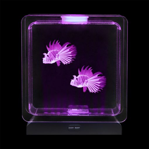 Lumina Square Light-Up Fish Tank - 2 Tropical Fish, Learning SPACE