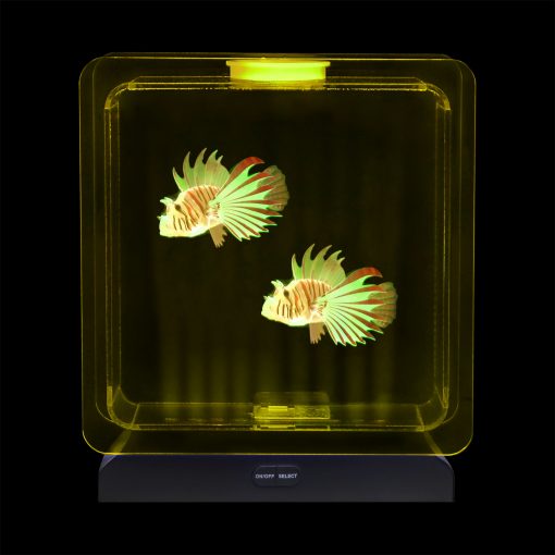 Lumina Square Light-Up Fish Tank - 2 Tropical Fish, Learning SPACE