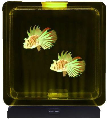 Lumina Square Light-Up Fish Tank - 2 Tropical Fish, Learning SPACE