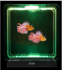 Lumina Square Light-Up Fish Tank – 2 Tropical Fish-AllSensory,Lumina,Playlearn,Sensory Light Up Toys,Stock,Visual Fun,Visual Sensory Toys-Learning SPACE