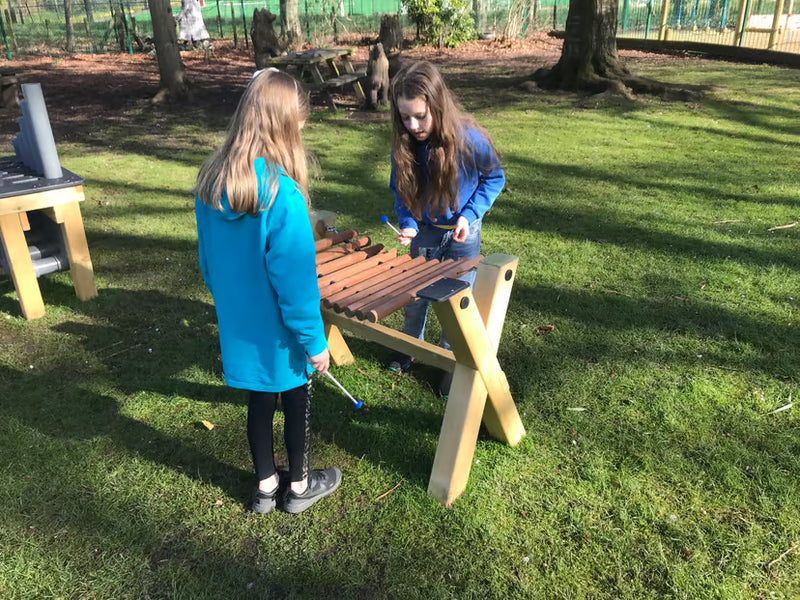 Marimba Playground Musical Instrument, Learning SPACE