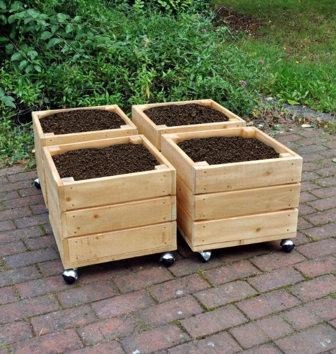 Mobile Square Planters-Cosy Direct, Greenhouses & Planters, Pollination Grant-Learning SPACE