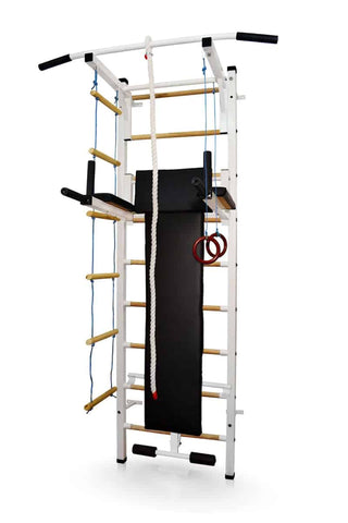 Monkey Gym Wall Bars Maximus Plus-Exercise,Sensory Climbing Equipment,swing,Teen & Adult Swings-Learning SPACE