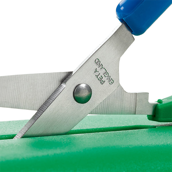Mounted Table Top Scissors, Learning SPACE