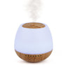 Multi Function Aroma Diffuser Lamp-Calming and Relaxation,Sensory Light Up Toys,Sensory Smell Equipment,Teenage Speakers-Learning SPACE