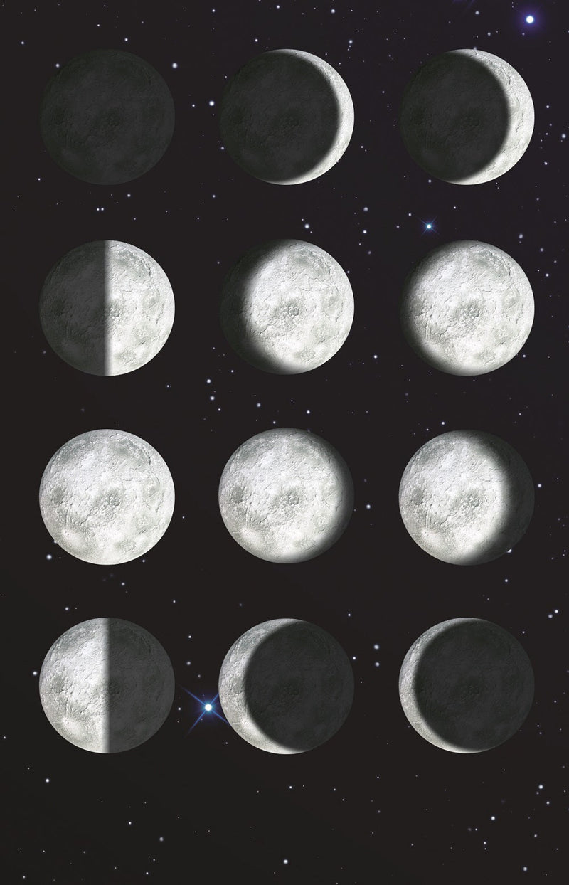 My Very Own Moon - Remote Control Illuminated Moon, Learning SPACE