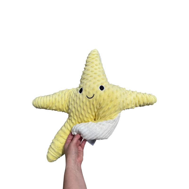 MySpace 1.6kg Weighted Starfish, Learning SPACE