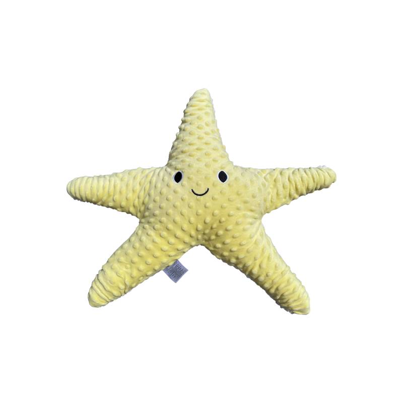 MySpace 1.6kg Weighted Starfish, Learning SPACE