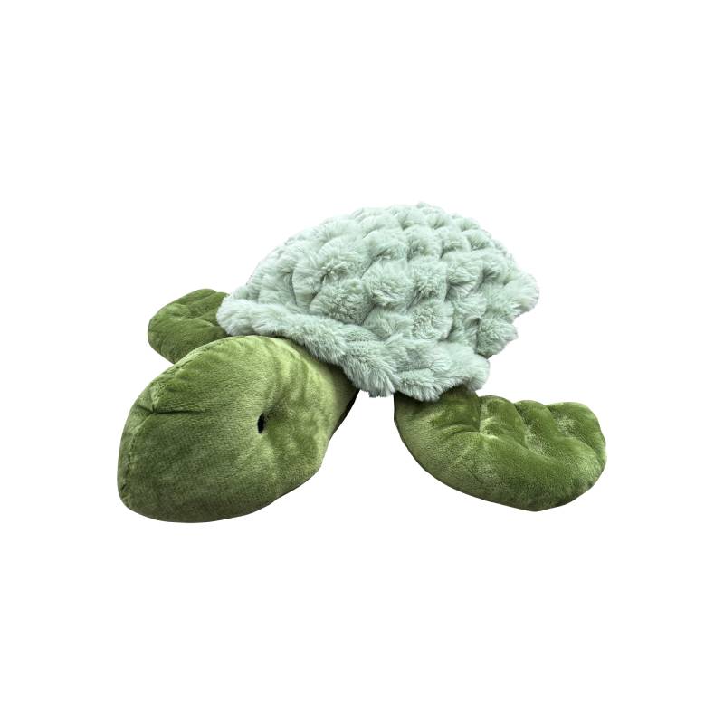 MySpace 1.6kg Weighted Turtle, Learning SPACE