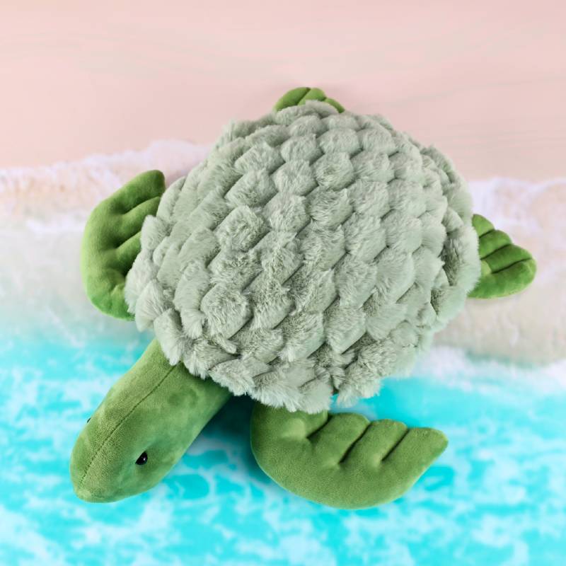 MySpace 1.6kg Weighted Turtle, Learning SPACE
