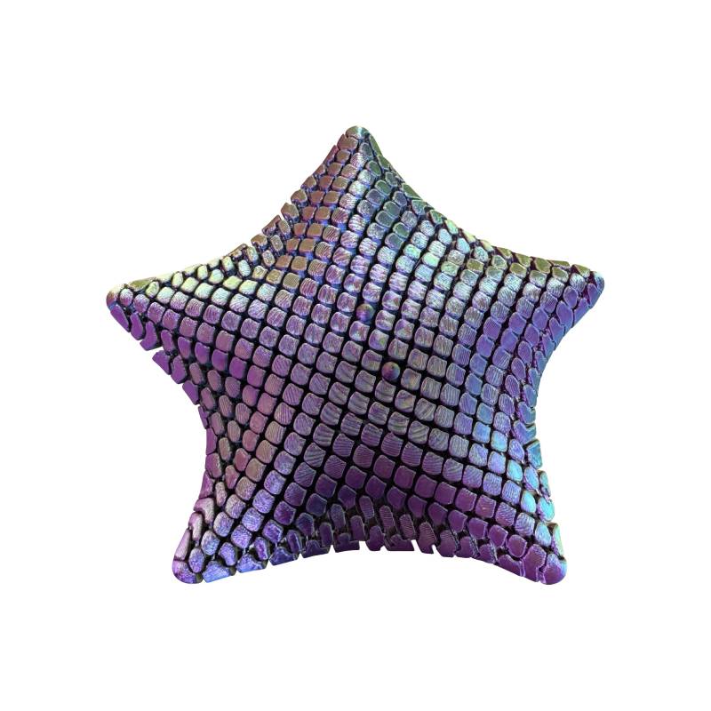 MySpace 3D Sensory Starfish Fidget, Learning SPACE