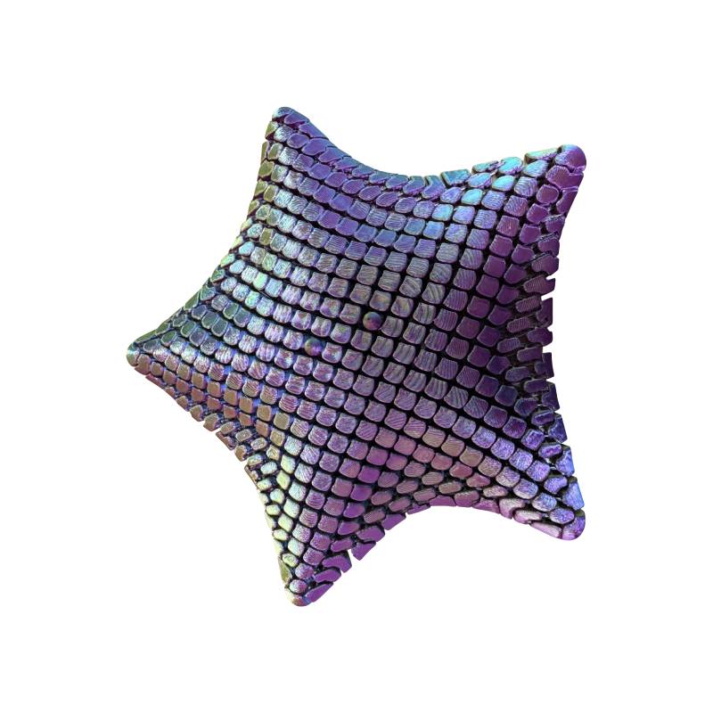 MySpace 3D Sensory Starfish Fidget, Learning SPACE