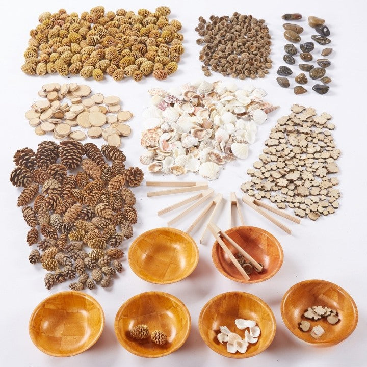 Natural Sorting Set-Cosy Direct,Counting Numbers & Colour,Fine Motor Skills,Imaginative Play,Natural,Nature,Nature Learning Environment,Stacking Toys & Sorting Toys-Learning SPACE