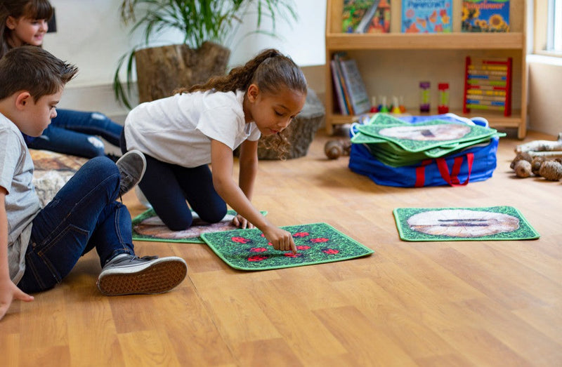 Natural World Counting Indoor/Outdoor 35 Mini Placement Carpets with holdall, Learning SPACE