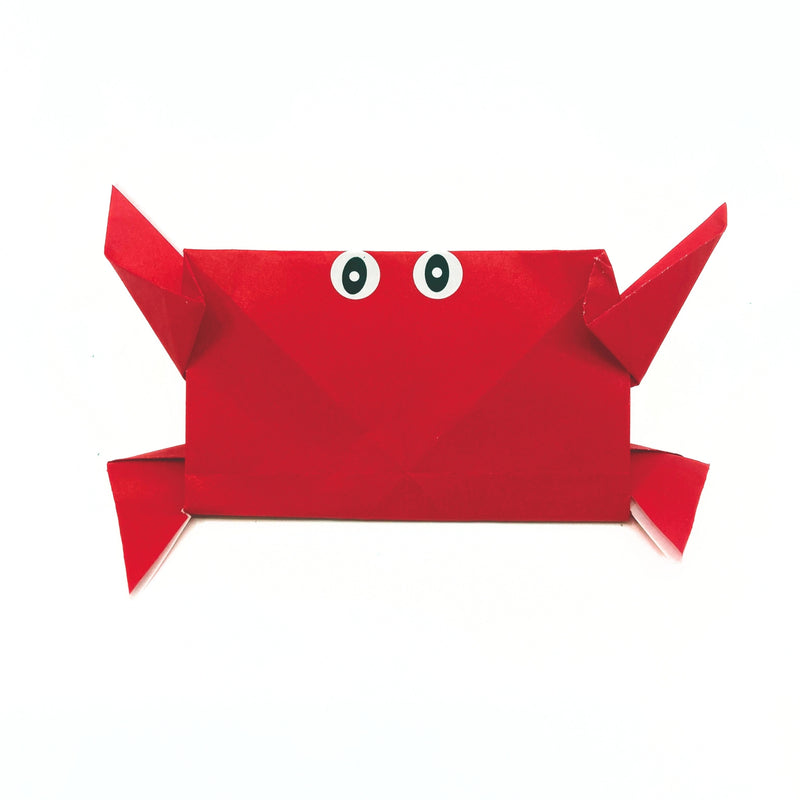 Ocean Origami Counter Display