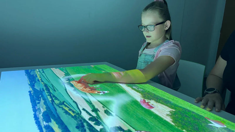 Omi Budii Interactive Projector with Bracket, Learning SPACE