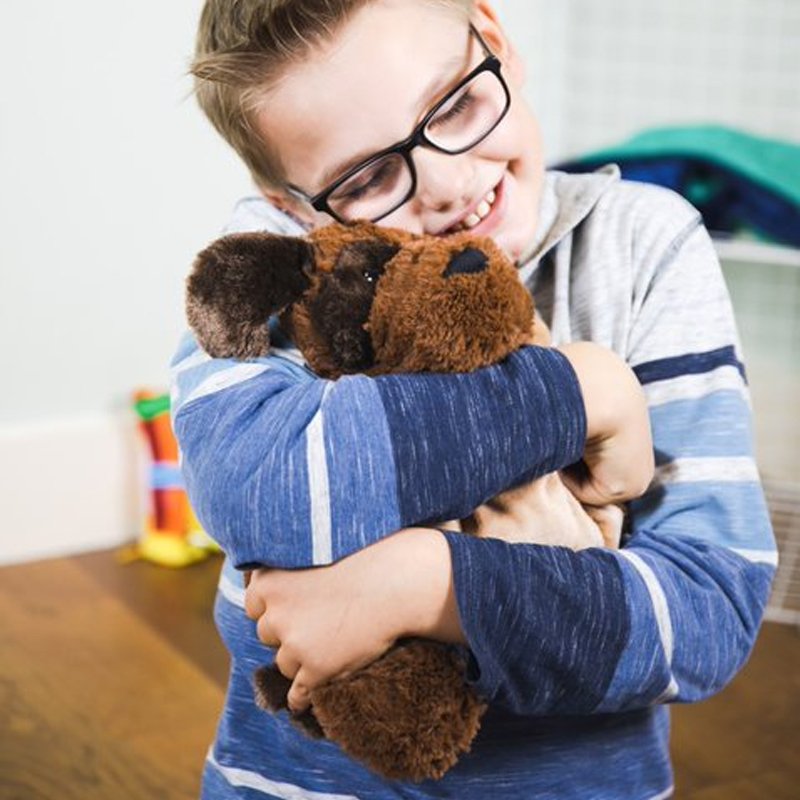 Plush Puppy 2.2kg Weighted Lap Pad, Learning SPACE