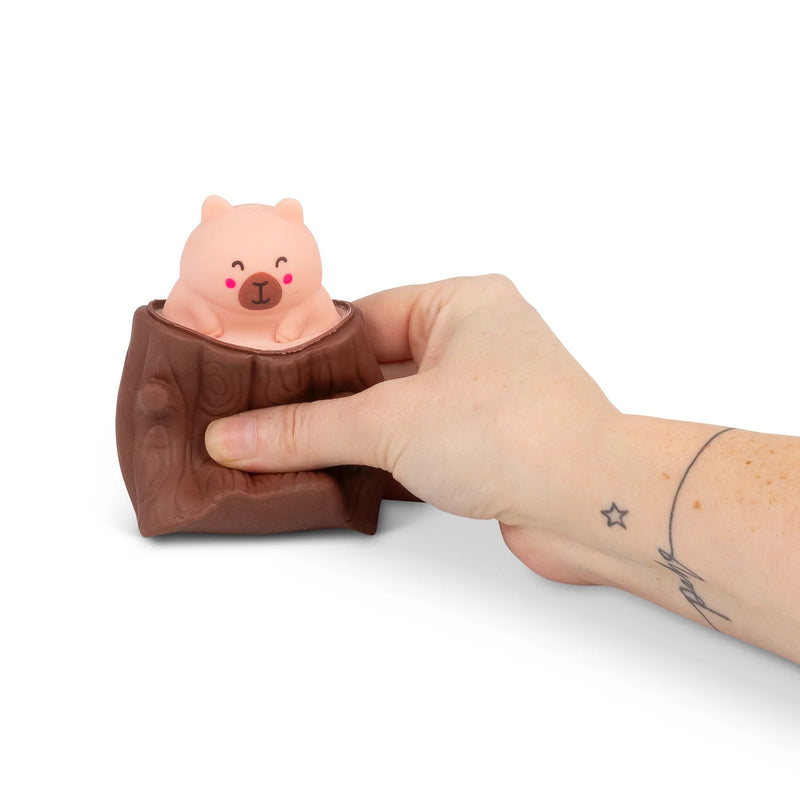 Pop-Up Squeezy Capybara, Learning SPACE