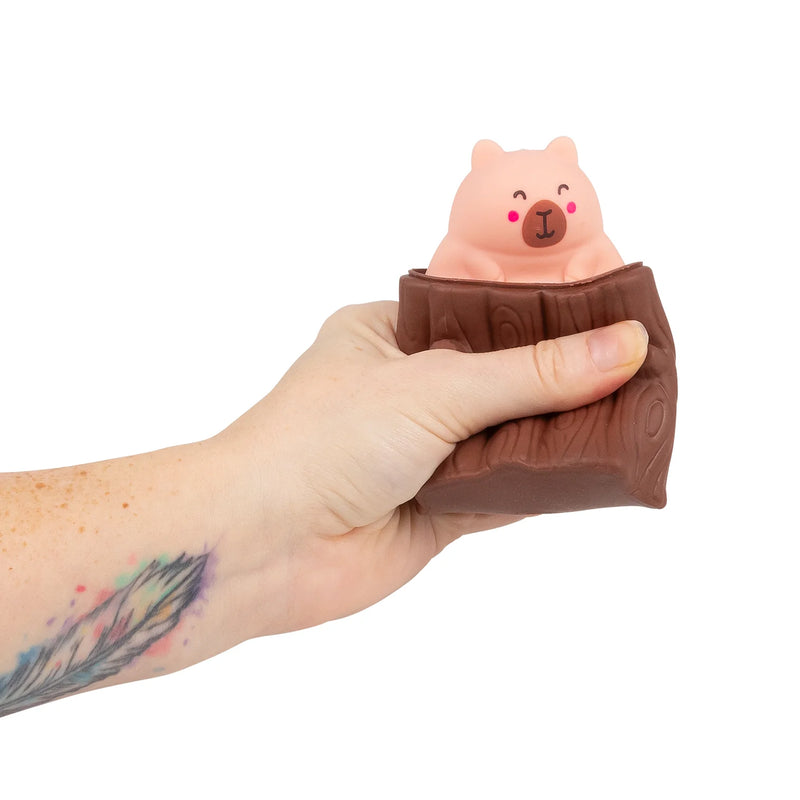 Pop-Up Squeezy Capybara, Learning SPACE