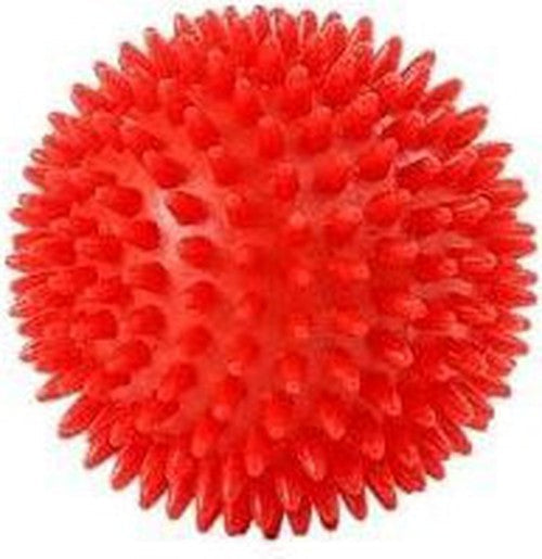 Porcupine Tactile Spikey Massage Ball, Learning SPACE