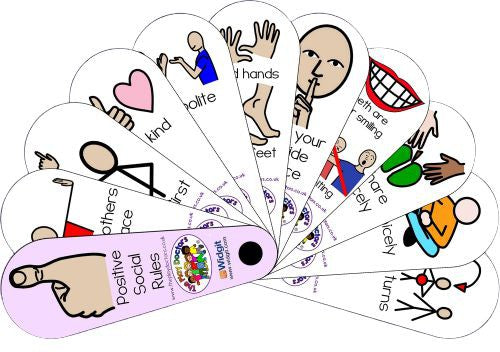 Positive Social Rules Fan, Learning SPACE