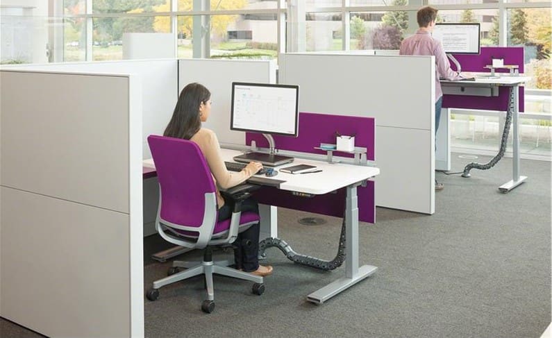 Premium Electric Height Adjustable Desk, Learning SPACE