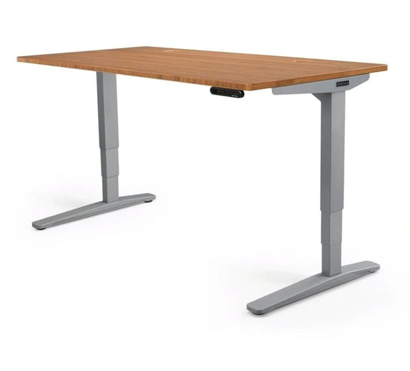 Premium Electric Height Adjustable Desk, Learning SPACE