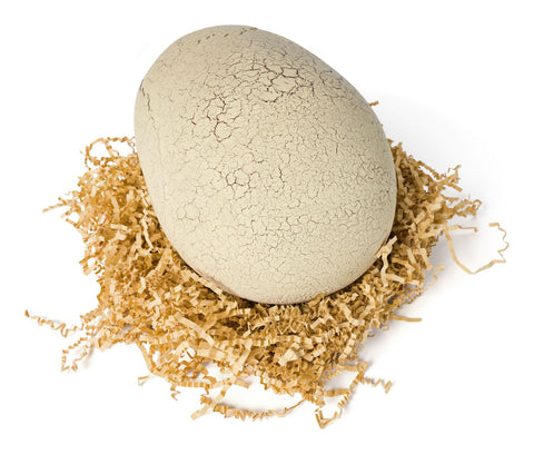 Primal Hatch - Jurassic World Interactive Hatch Dino-Cause & Effect Toys,Christmas,Christmas 2025,Dinosaurs. Castles & Pirates-Learning SPACE