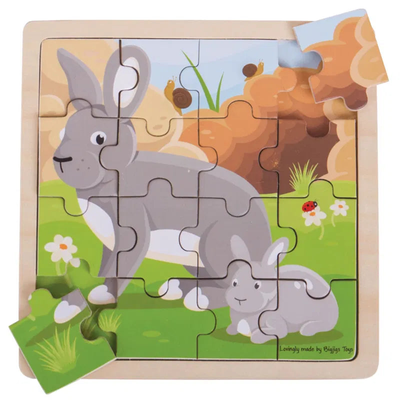 Rabbit and Kitten Puzzle, Learning SPACE