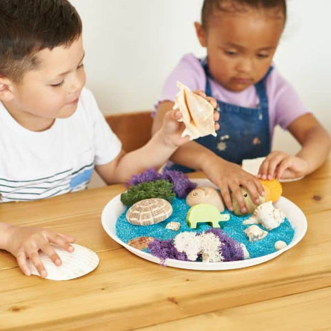 Rainbow Eco Play Naturals - Shells & Urchins-Arts & Crafts,Early Arts & Crafts,Nature,Nature Sensory Room,Primary Arts & Crafts,Underwater Sensory Room-Learning SPACE