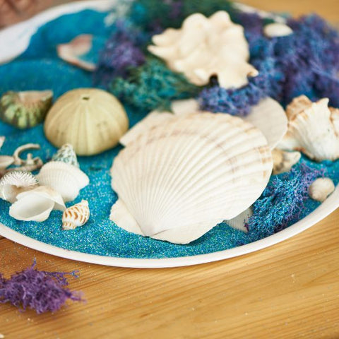 Rainbow Eco Play Naturals - Shells & Urchins-Arts & Crafts,Early Arts & Crafts,Nature,Nature Sensory Room,Primary Arts & Crafts,Underwater Sensory Room-Learning SPACE