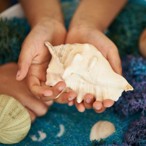 Rainbow Eco Play Naturals - Shells & Urchins, Learning SPACE
