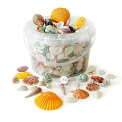 Rainbow Eco Play Naturals - Shells & Urchins-Arts & Crafts,Early Arts & Crafts,Nature,Nature Sensory Room,Primary Arts & Crafts,Underwater Sensory Room-Mixed Shells 1.3kg-E2003-Learning SPACE