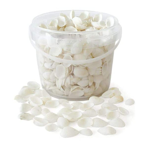 Rainbow Eco Play Naturals - Shells & Urchins-Arts & Crafts,Early Arts & Crafts,Nature,Nature Sensory Room,Primary Arts & Crafts,Underwater Sensory Room-Natural White Shells 1.3kg-E2004-Learning SPACE
