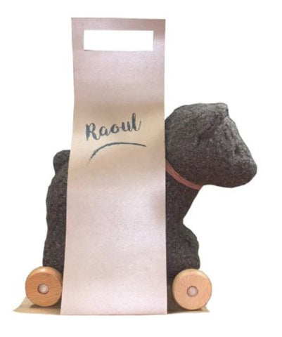 Raoul the Adventure Buddy: Pull-Along Bear Toy, Learning SPACE