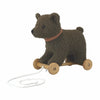 Raoul the Adventure Buddy: Pull-Along Bear Toy, Learning SPACE