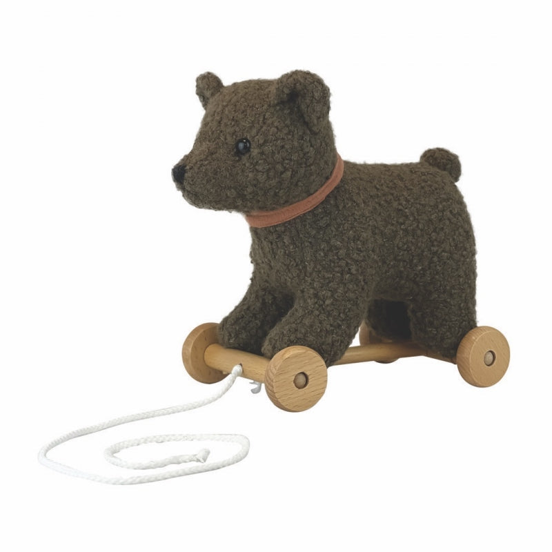 Raoul the Adventure Buddy: Pull-Along Bear Toy, Learning SPACE