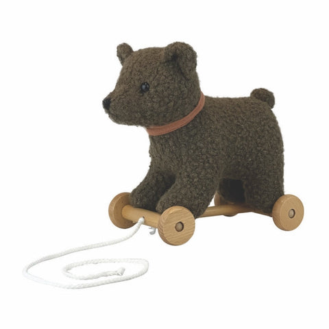 Raoul the Adventure Buddy: Pull-Along Bear Toy, Learning SPACE