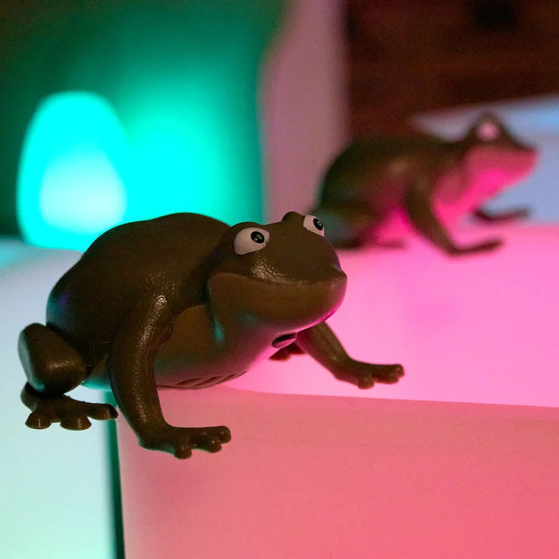 Recordable Terrific Talking Frogs 10pk, Talking Buttons Learning SPACE