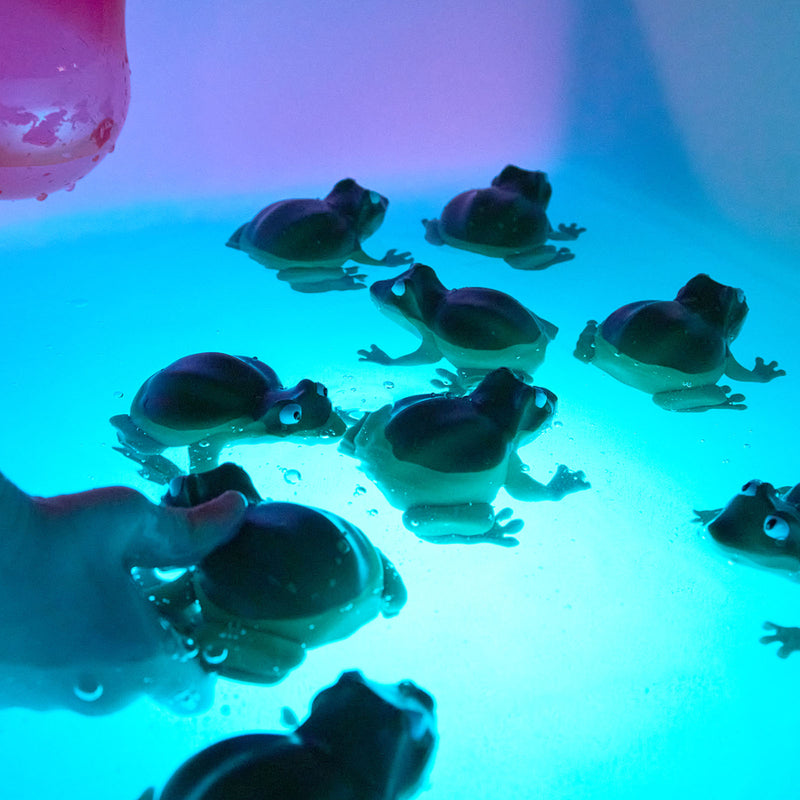 Recordable Terrific Talking Frogs 10pk, Talking Buttons Learning SPACE