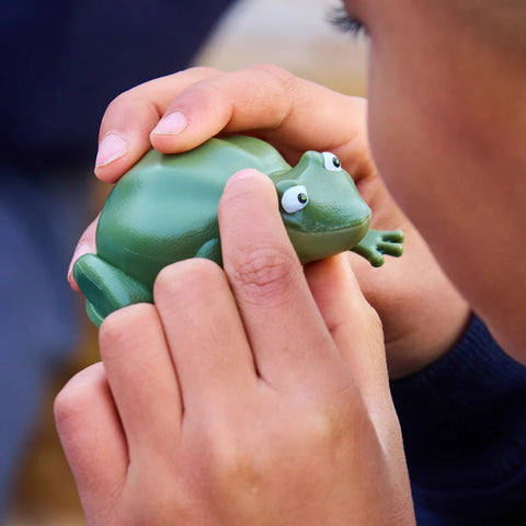 Recordable Terrific Talking Frogs 10pk